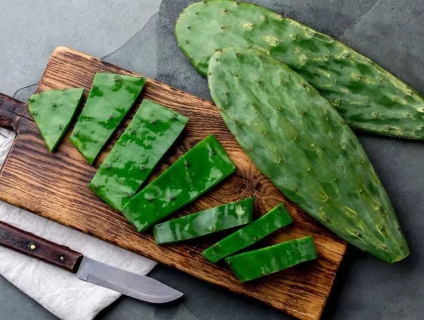 Beneficios del nopal para bajar el azúcar en sangre