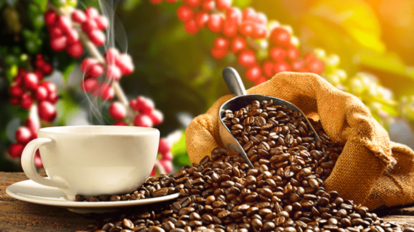 Café y especias venezolanas lideran exportaciones hacia EEUU