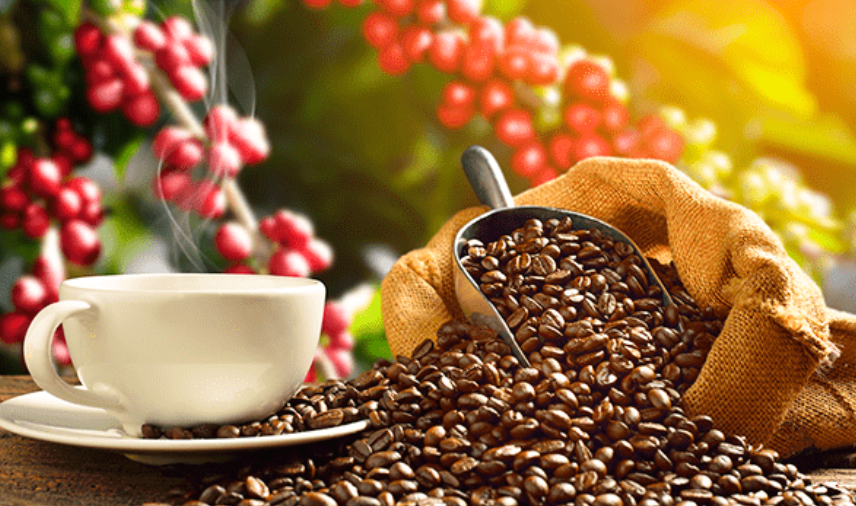 Café y especias venezolanas lideran exportaciones hacia EEUU