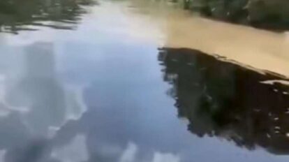 Productores en alerta por derrame de petróleo en el río Portuguesa