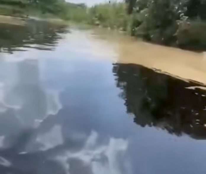 Productores en alerta por derrame de petróleo en el río Portuguesa
