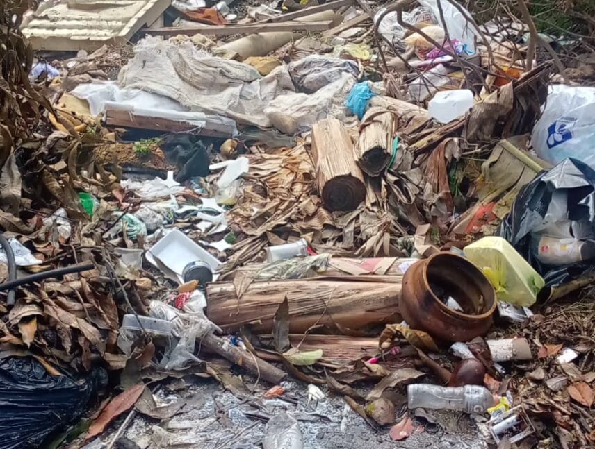 Denuncian focos de contaminación y vertederos en Clorindo Manuel Parellys