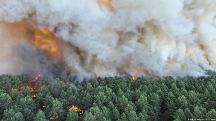 Incendio consume el 8 % de la reserva forestal más grande de Francia