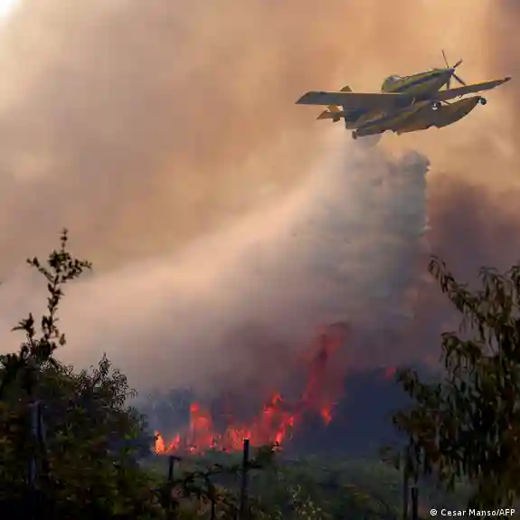España combate el mayor incendio forestal de su historia