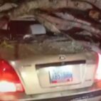 Árbol cae sobre carro en avenida atlántico