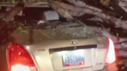 Árbol cae sobre carro en avenida atlántico