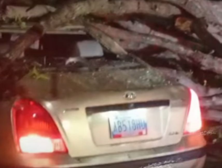 Árbol cae sobre carro en avenida atlántico