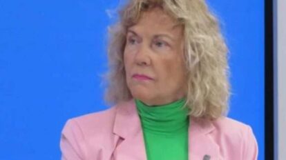 ministra Ana María Sanjuán anuncia plan de salud mental