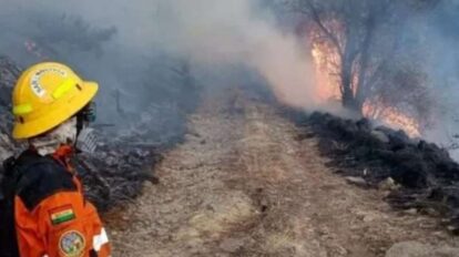 Incendios forestales en Bolivia