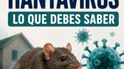 Hantavirus qué es