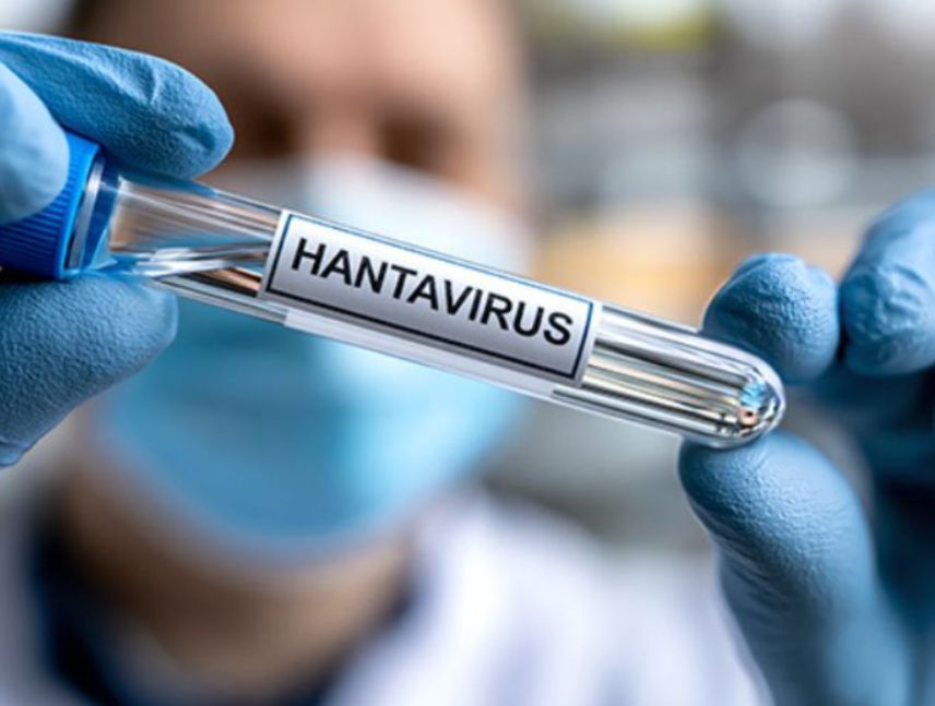 Chile declara alerta sanitaria por hantavirus
