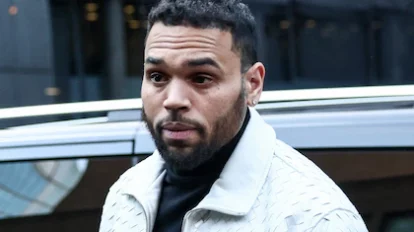 Chris Brown deberá pagar millones de dólares por ataque de su perro