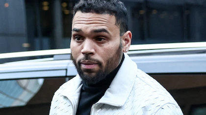 Chris Brown deberá pagar millones de dólares por ataque de su perro
