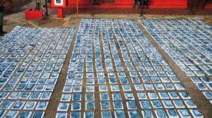 Incautan 1.167 paneles de drogas entre Zulia y Falcón
