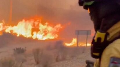 Once muertos deja incendios forestales en España