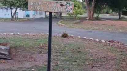 Denuncian falta de mantenimiento del parque Loefling de Puerto Ordaz