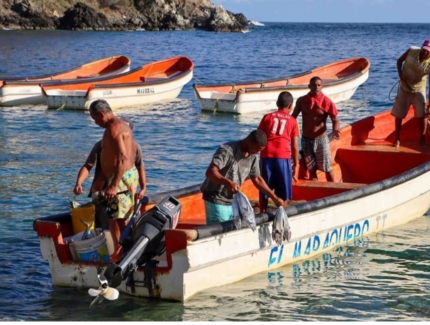 Pescadores artesanales reactivan labores en La Guaira