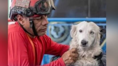 Tsunami y su cuidador Jorge están por acceder a un nuevo hogar