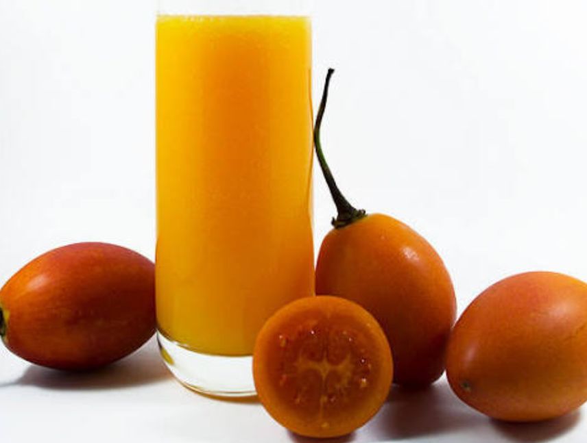 Beber jugo de tomate de árbol en ayunas tiene sus beneficios