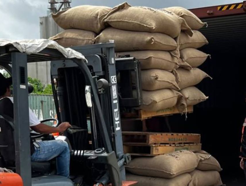 Lara exporta 24 toneladas de café verde a Türkiye