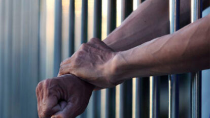 Decomisan en La Guaira embarcación ilícita