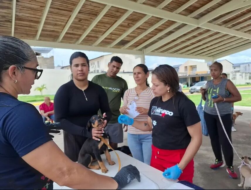 Realizarán jornada de vacunación antirrábica en Puerto Ordaz