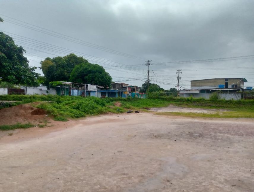 estadio