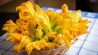 Beneficios de la flor de la auyama para la vista