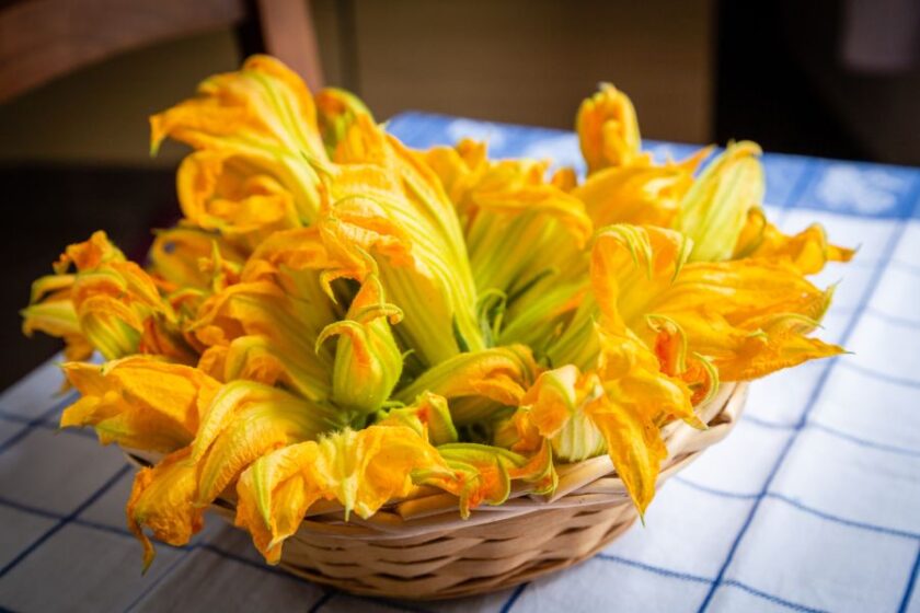 Beneficios de la flor de la auyama para la vista