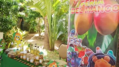 Realizarán feria artesanal del mango este viernes