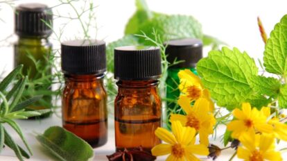 Las mejores plantas medicinales para cuidar la piel