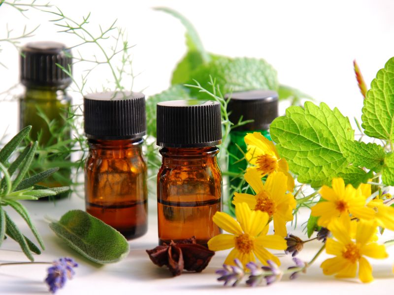 Las mejores plantas medicinales para cuidar la piel