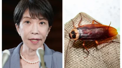 Primera ministra de Japón echa de menos a una cucaracha