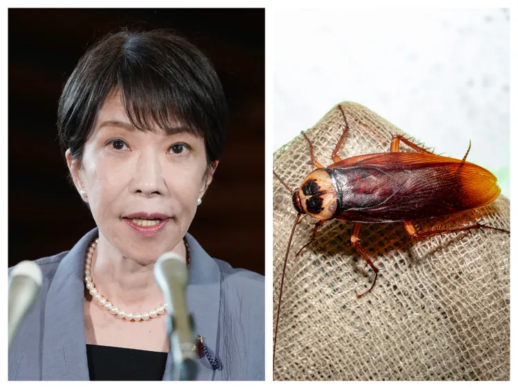Primera ministra de Japón echa de menos a una cucaracha