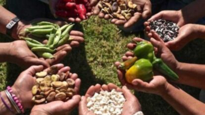 Programa Mundial de Alimentos alerta ante llegada de El Niño