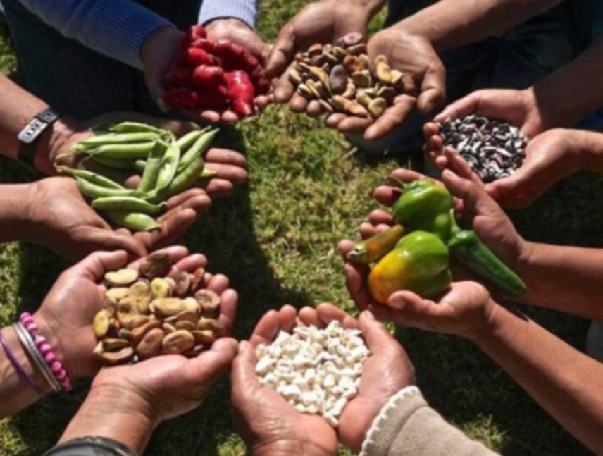 Programa Mundial de Alimentos alerta ante llegada de El Niño