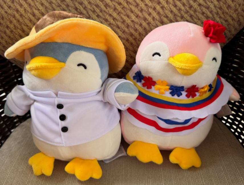 Hospital de Peluches jornada de recolección en Puerto Ordaz