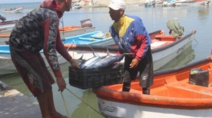 pescadores de Caraballeda