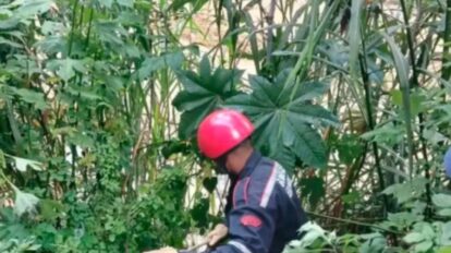 Hallan cuerpo en Higuerote río Guaire