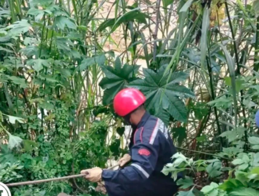 Hallan cuerpo en Higuerote río Guaire