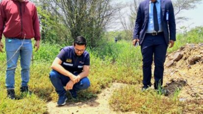 maltrato a oso melero en Anzoátegui