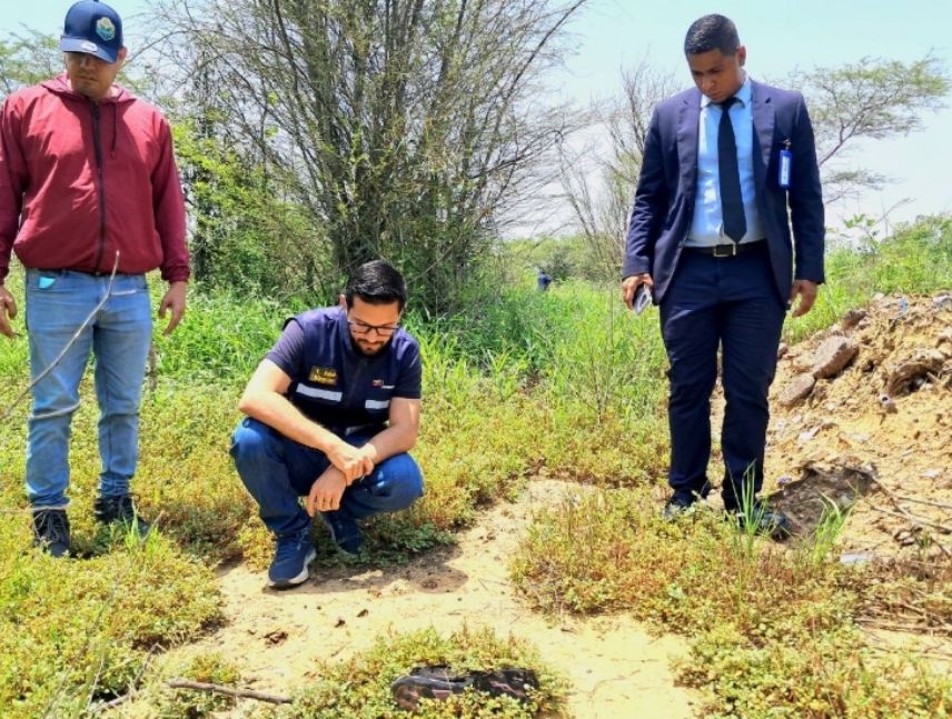 maltrato a oso melero en Anzoátegui