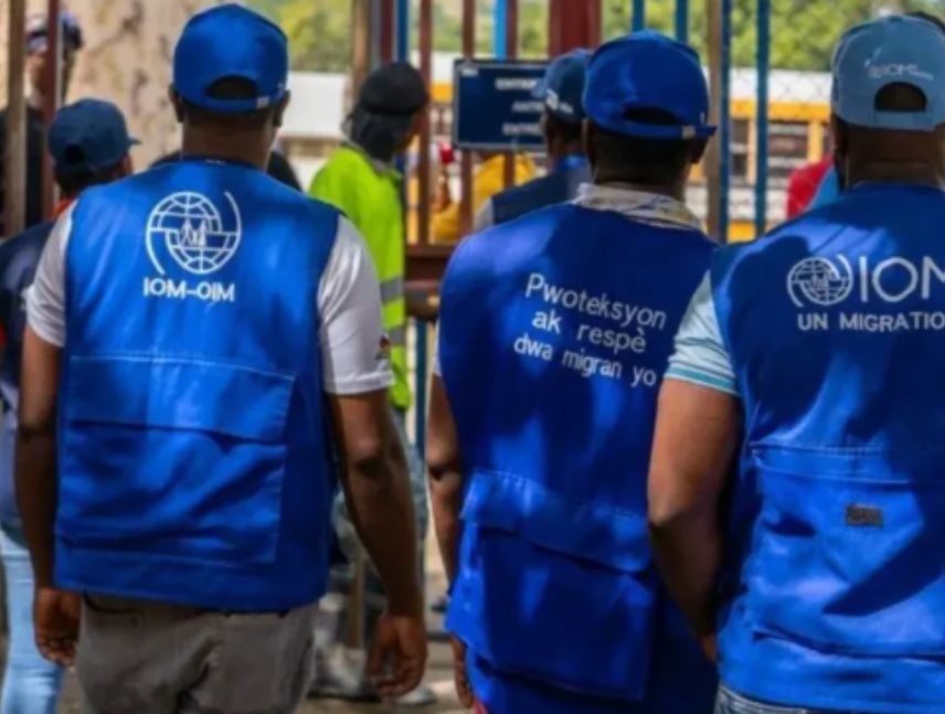 recuperación temprana OIM Venezuela