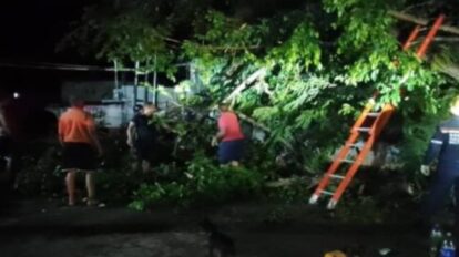 Onda tropical en Mochima deja muchos daños