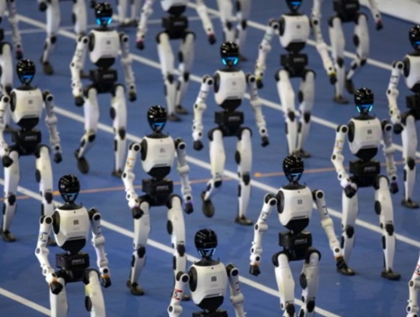 Juegos Mundiales de Robots Humanoides