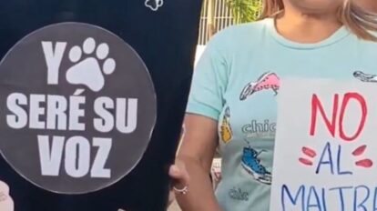 Denuncian “envenenamiento” masivo de mascotas en la isla de Margarita