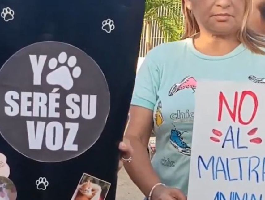 Denuncian “envenenamiento” masivo de mascotas en la isla de Margarita