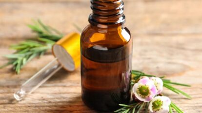 Beneficios del aceite de árbol de té