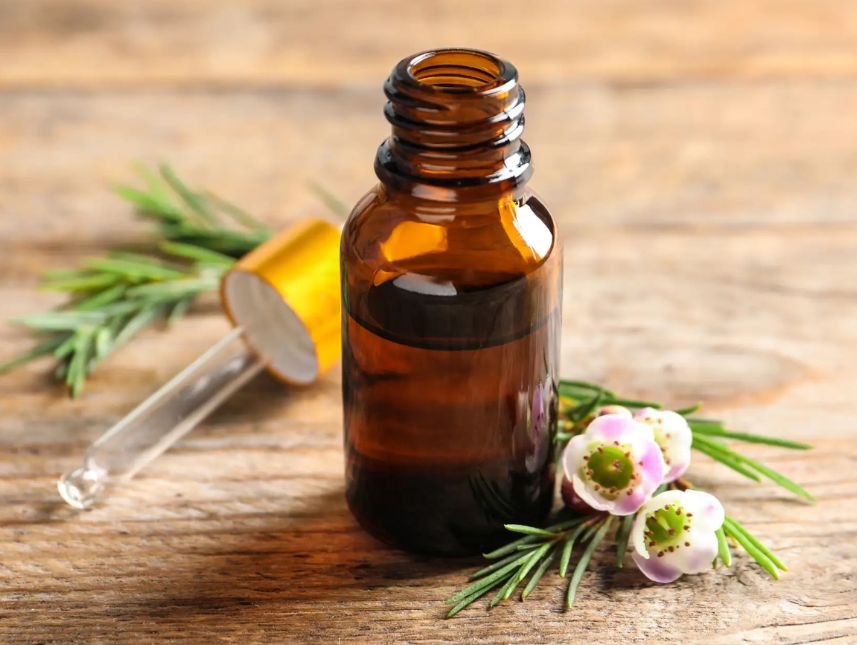 Beneficios del aceite de árbol de té