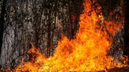 Colombia combate 39 incendios forestales